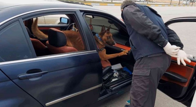 Araçtaki uyuşturucu narkotik detektörü Kaputtan kaçmadı
