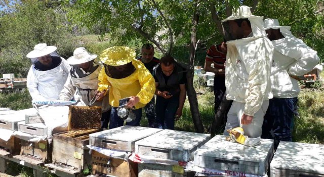 Arıcılık kursiyerleri ilk eğitimlerini aldı