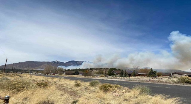Arizonada orman yangını şiddetli rüzgarın etkisiyle giderek yayılıyor
