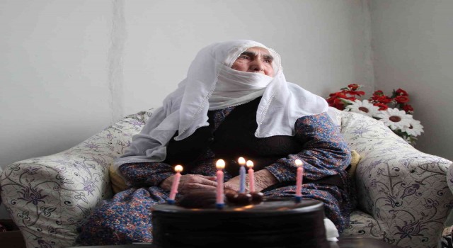 Asırlık çınar, ilk kez mum üfleyip pasta kesti