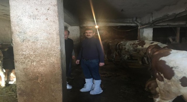 Aşkalede hayvan hastalıkları inceleniyor
