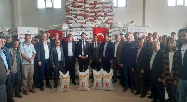 Aslanapada çiftçilere 31 bin 800 kilogram nohut tohumu dağıtıldı