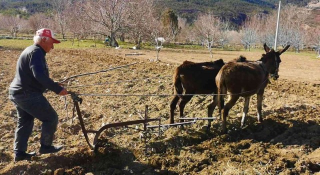 Atadan kalma ilk genelliğini sürdürüyor