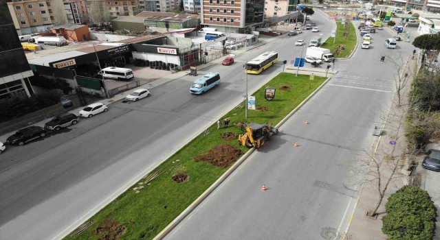 Ataşehirde İBB ekipleri tarafından ağaçlar iş makineleriyle güpegündüz söküldü