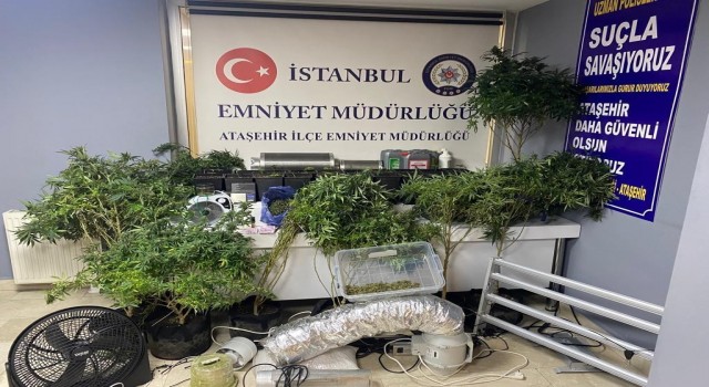 Ataşehirde lüks rezidansta uyuşturucu serasına baskın: 2 gözaltı