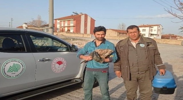 Atla gezen imam tarafından bulunan yaralı şahin tedavi altına alındı