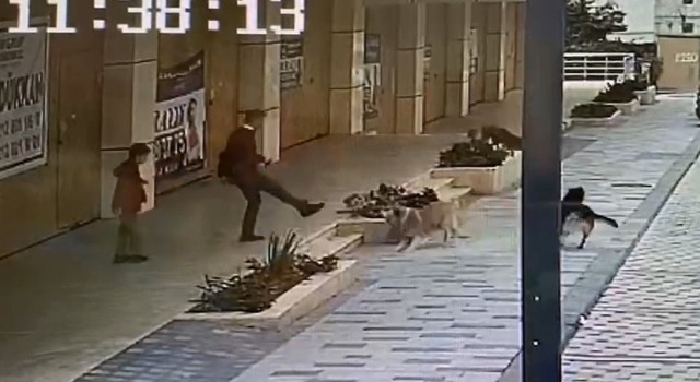 Avcılarda köpek saldırısını yaşayan çocuk dehşet anlarını anlattı