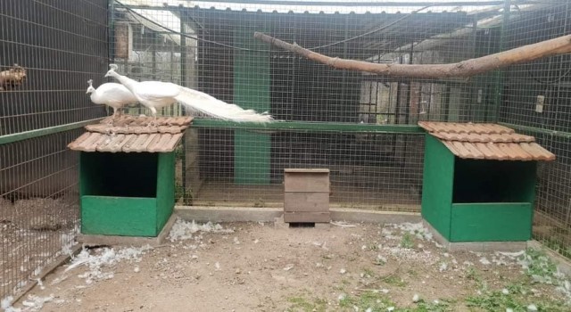 Aydında av ve yaban hayvanı özel üretim tesisi denetlendi