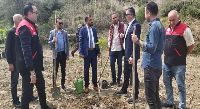 Ayvalıkta incir demonstrasyon bahçesi