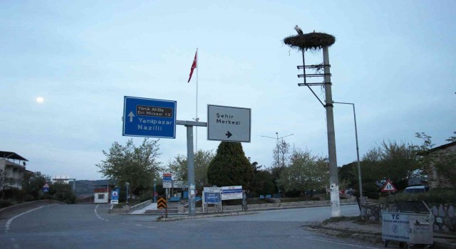 Baharın müjdecisi leylekler Aydını mesken tutuyor
