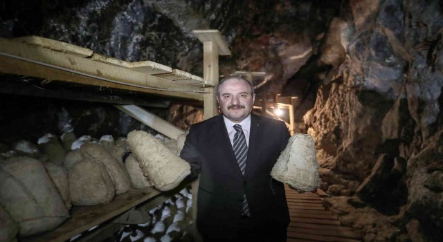 Bakan Varank: Divle peynirinin daha fazla üretilmesi ve daha iyi tanıtılması için desteklerimizi vermeye devam edeceğiz
