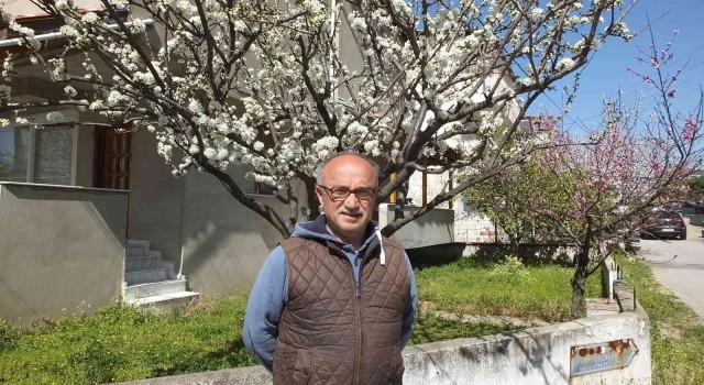 Balıkesirde meyve ağaçları rengarenk çiçek açtı