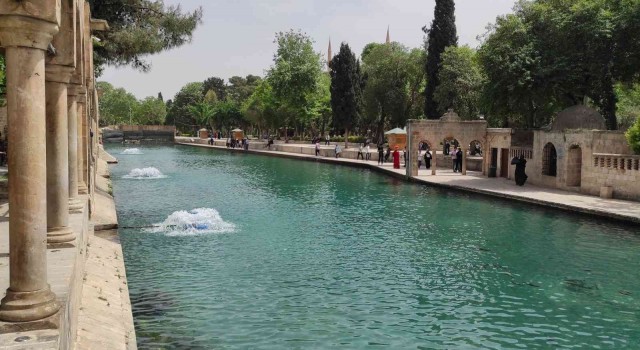Balıklıgöldeki balık ölümleri araştırılıyor