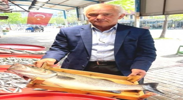 Bandırmada 4 kiloluk levrek 500 liraya satıldı