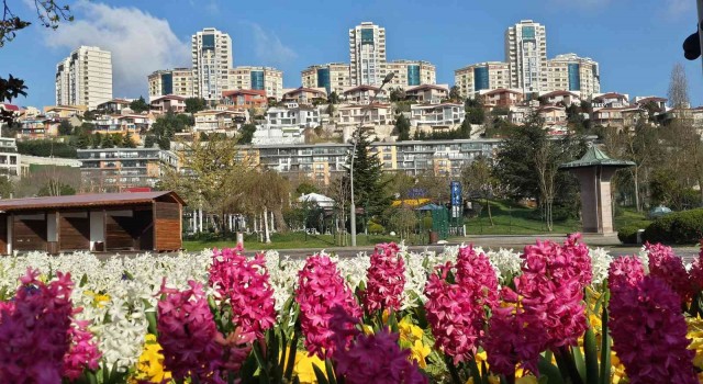 Başakşehirde bahar hazırlıkları başladı