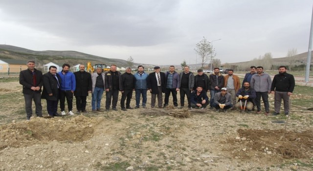 Bayburtta bin 500 meyve ile bin tane gül fidanı toprakla buluştu