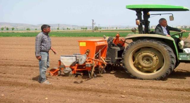 Bayrama günler kala ekimine başlandı