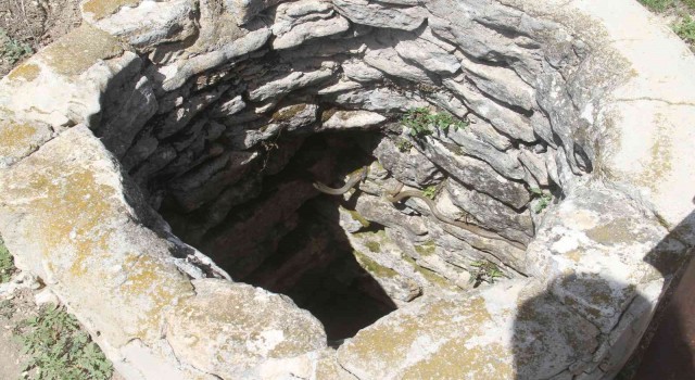 Beyşehirde havaların ısınmasıyla su kuyularında yılanlar ortaya çıkmaya başladı