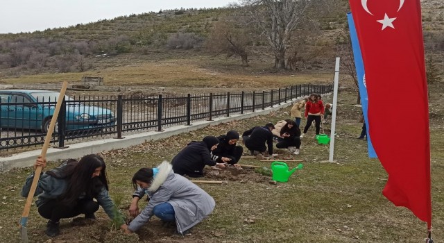 Beyşehirde üniversite öğrencileri fidanları toprakla buluşturdu