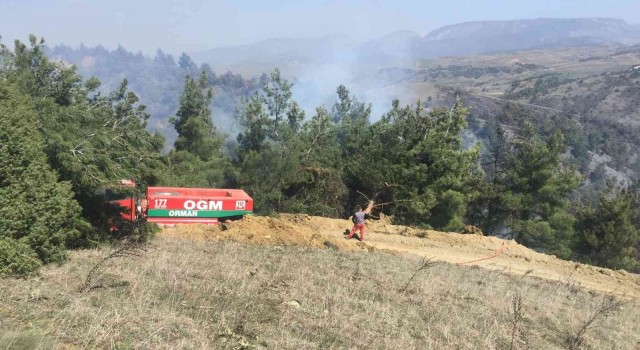 Bilecikte dün başlayan orman yangını söndürüldü, soğutma işlemi başladı