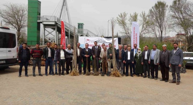 Bingölde ilk defa çiftçilere üzümsü meyve fidanı dağıtıldı