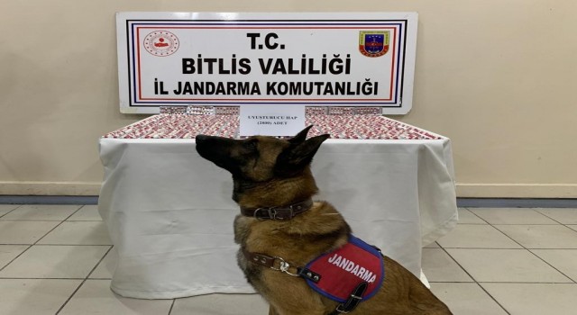 Bitliste 2 bin 800 adet uyuşturucu hap ele geçirildi