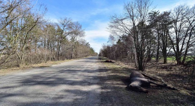 Borodyankada enkaz çalışmalarında 26 kişinin cesedine ulaşıldı