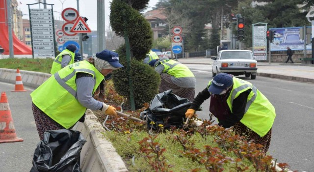 Bozüyükte yeşil alanlardaki bakım çalışmaları sürüyor