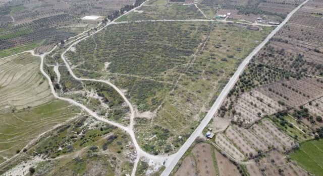 Buharkent Aydının Jeotermal Sera üssü olacak