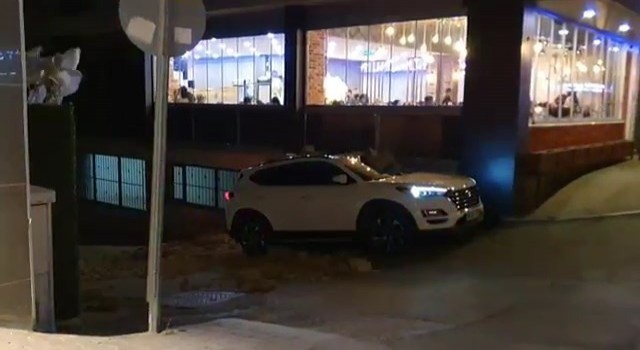 Bursada lodosun etkisiyle ağaçlar araçların üzerine devrildi
