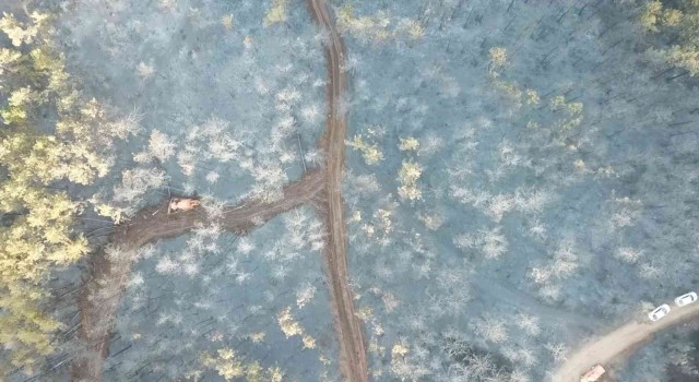 Bursadaki orman yangını 18 saatlik müdahalenin ardından kontrol altına alındı