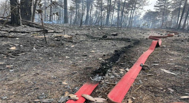 Bursadaki orman yangını kısmen kontrol altına alındı