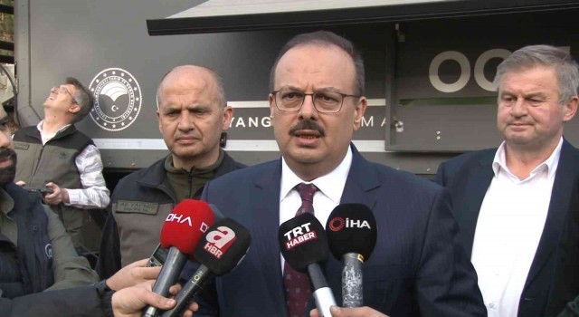 Bursadaki orman yangınında 60 hektarlık alan zarar gördü