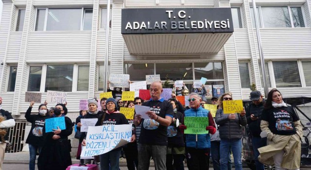 Büyükadada hayvanseverlerden eylem: ‘Sokak hayvanlarıyla ilgili taleplerimiz yerine getirilmiyor