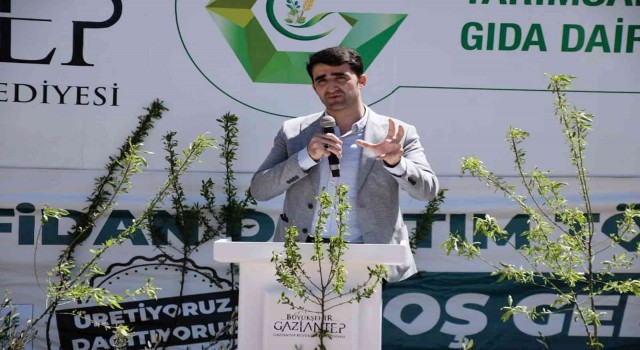 Büyükşehir Belediyesi 5 bin yağlık zeytin ve badem fidanı dağıttı