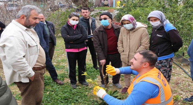 Büyükşehirden ilçelerde budama ve aşı eğitimi