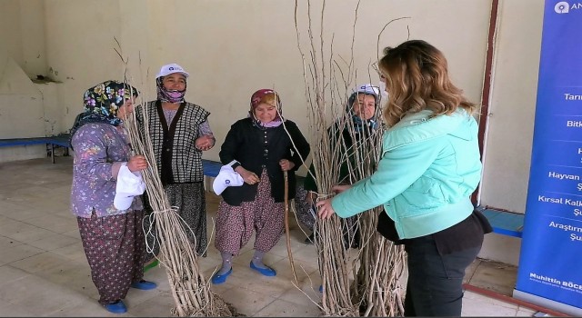 Büyükşehirden ipekböceği yetiştiricilerine destek