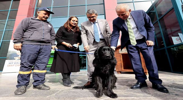 Can dostlar için anlamlı protokol