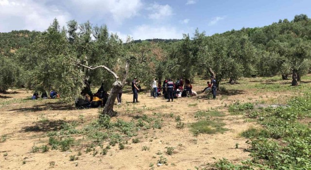 Çanakkalede son 4 ayda bin 195 düzensiz göçmen yakalandı