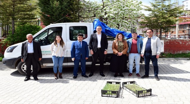 Çatakta çiftçilere 30 bin adaçayı ve kekik fidesi dağıtıldı
