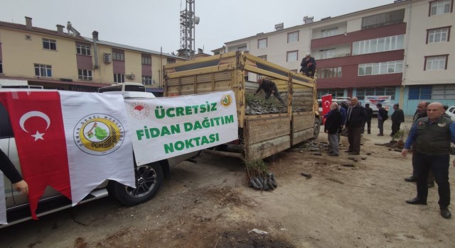 Çemişgezekte vatandaşlara ücretsiz 11 bin fidan dağıtıldı