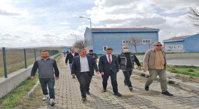 Çiçekdağı ve Yerköyde sokak hayvanları için Geçici Barınak ve Ünite