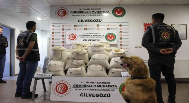 Cilvegözünde iki tırda 2 milyon 422 bin uyuşturucu hap ele geçirildi