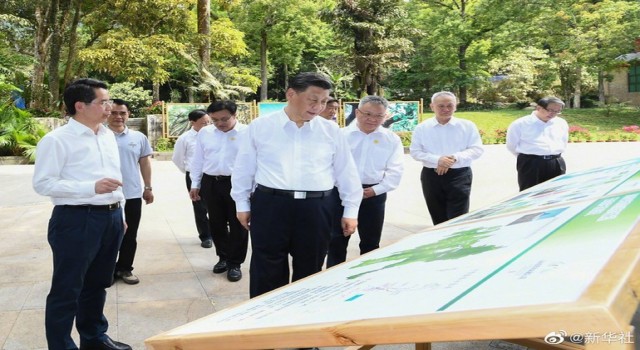 Çin Devlet Başkanı Jinping, Hainan Tropikal Yağmur Ormanları Ulusal Parkını ziyaret etti