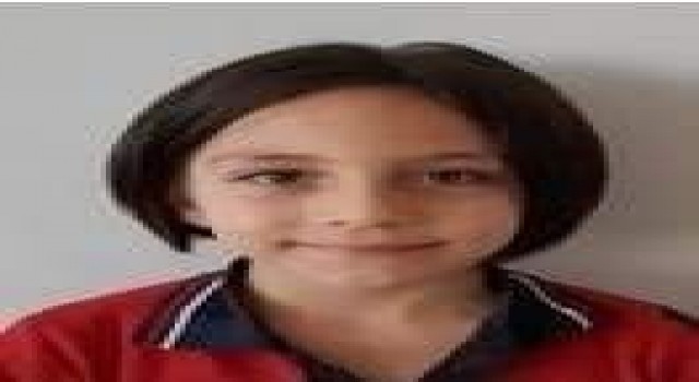 Çocuk Bayramında üzerine ağaç düşen çocuk hayatını kaybetti