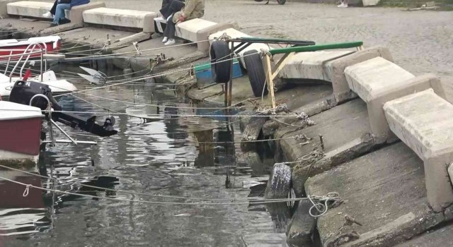 Çöken barınağa Yalova Belediyesinin parası yetmedi, DLHnın yapması bekleniyor