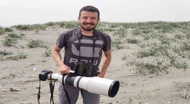 Çöl kulaklı toygarı kuşu Türkiyede ilk kez Hatayda gözlemlendi