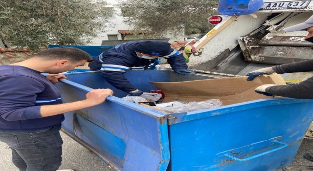 Çöp toplarken konteynırda yavru kedilerle karşılaştı
