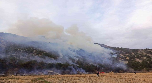 Çorumdaki orman yangını kontrol altına alındı