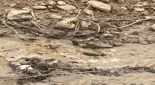 Çukurcada bulunan havan topu mühimmatı imha edildi